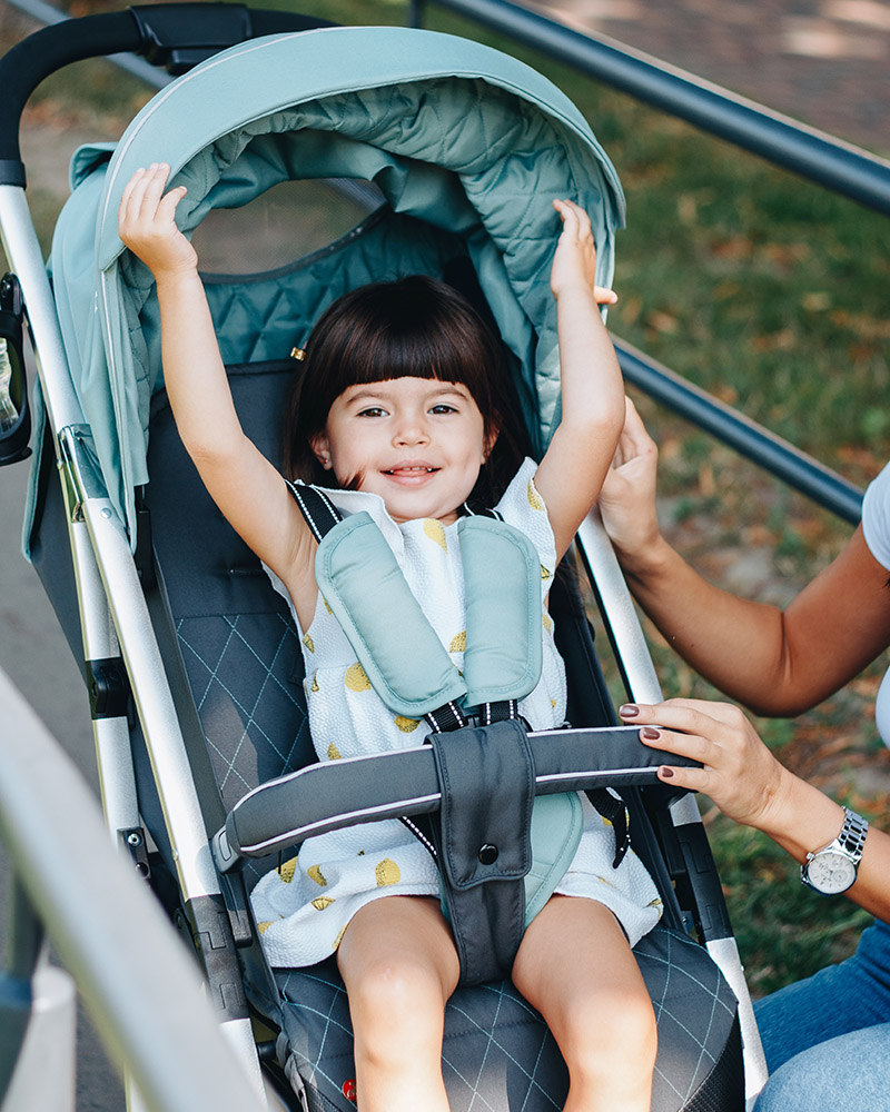 ¡Salud, bebé! Parecería, ¿qué tiene que ver con el cochecito?.. 10