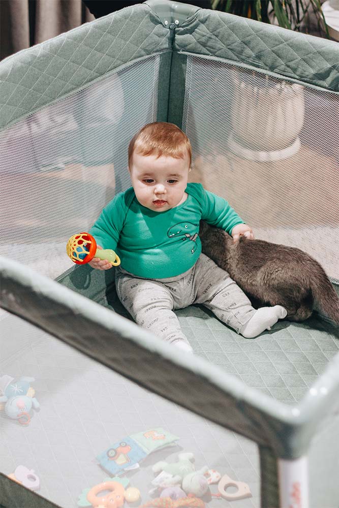 Corralito y mitos: hablando con un escéptico 2