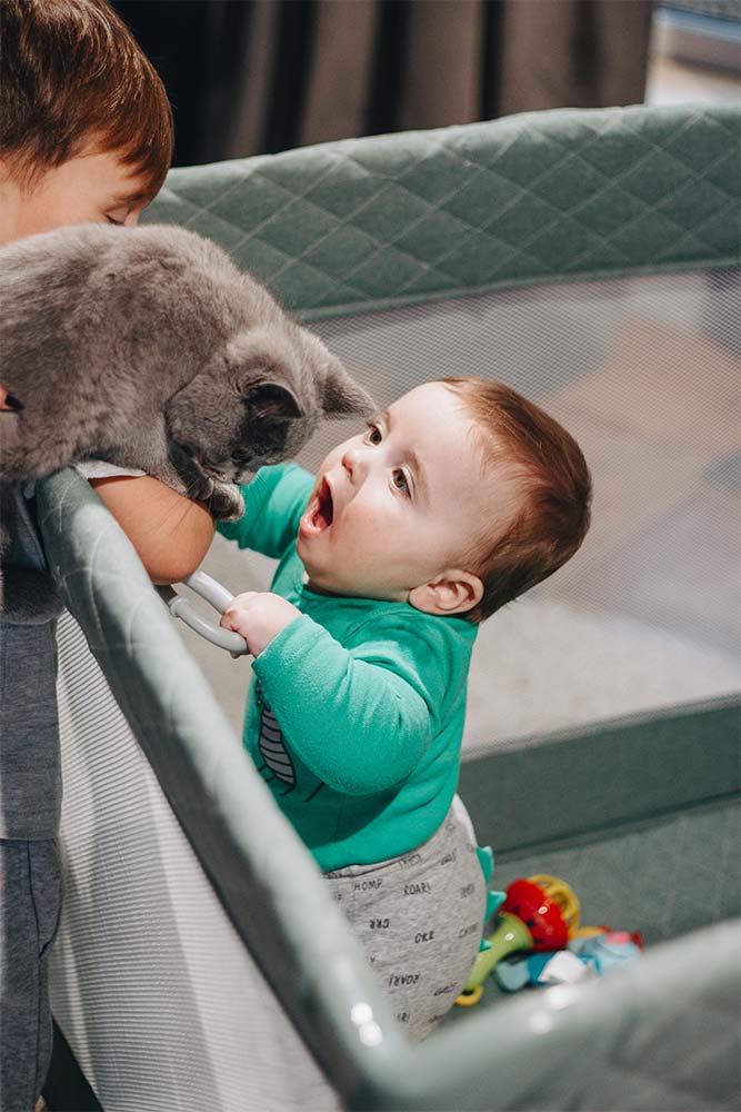 Corralito y mitos: hablando con un escéptico 1