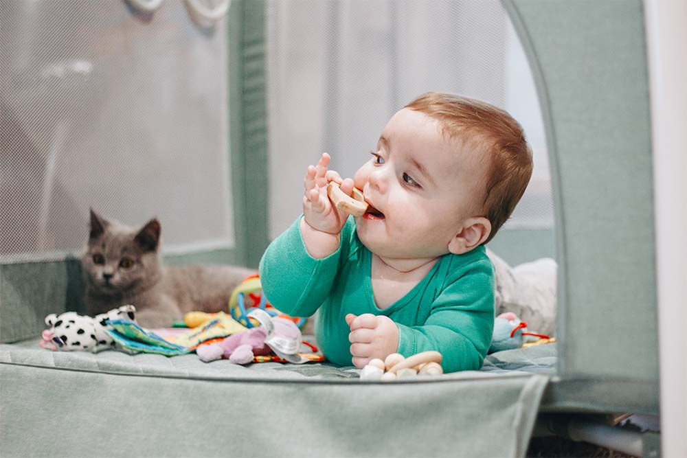 Corralito y mitos: hablando con un escéptico 6