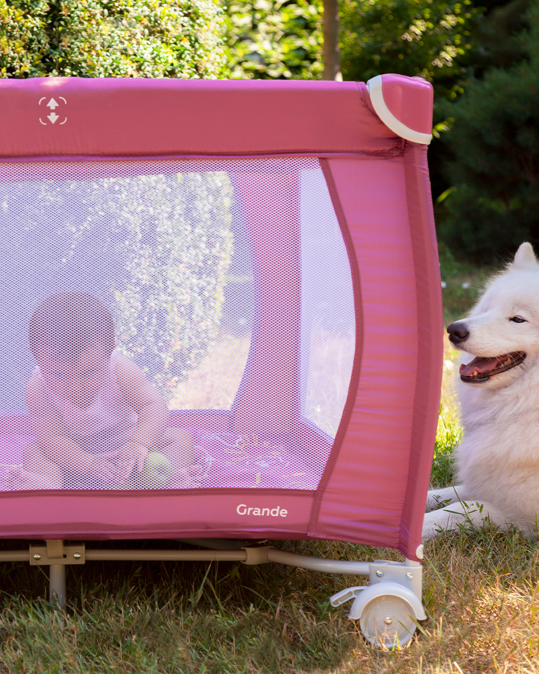 Cómo criar a una princesa feliz y exitosa, o Papá puede... 